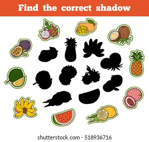 Find the correct shadow, education game for children. Thai Fruits