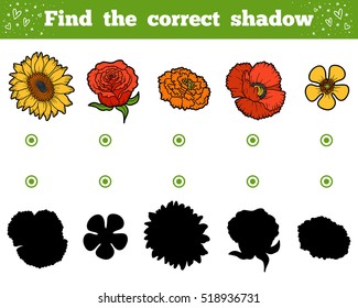 Find the correct shadow, education game for children. Set of flowers