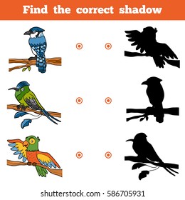 Find the correct shadow, education game for children. Vector set of birds