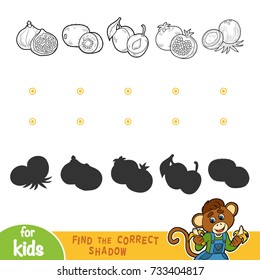Find the correct shadow, education game for children. Black and white fruits