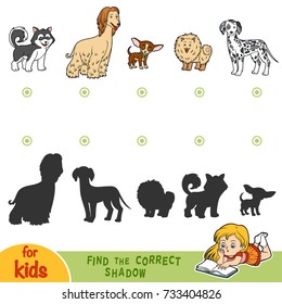 Find the correct shadow, education game for children. Set of dogs