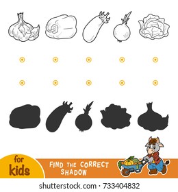 Find the correct shadow, education game for children. Black and white vegetables