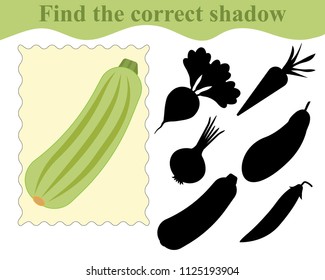 Find the correct shadow, educational game for kids. Vegetable marrow (zucchini). Vector illustration.