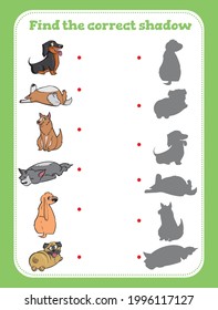 Find the correct shadow. Educational game for children. Cartoon vector illustration.