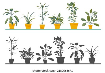 Find correct shadow. Educational game for children find the silhouette of a house plant. Activity, vector illustration.
