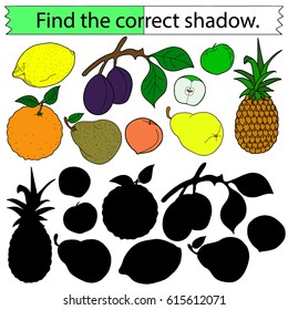 Find the correct shadow. Educational game for children. Fruit. Colored Vector illustration.