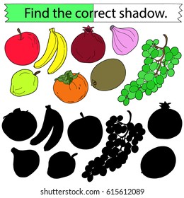 Find the correct shadow. Educational game for children. Fruit. Colored Vector illustration.