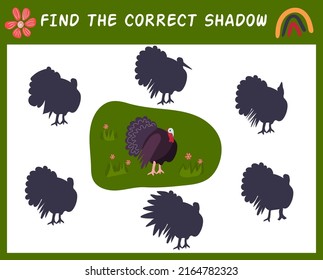 Encuentra la sombra correcta con el ave de granja. Juego de correspondencia para niños con pavo