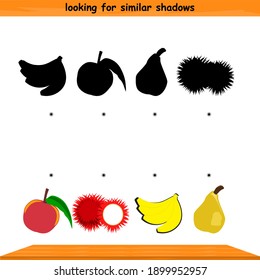 find the correct shadow fruit