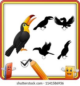 Find the correct shadow funny Toucan Bird. Education Game for Children
