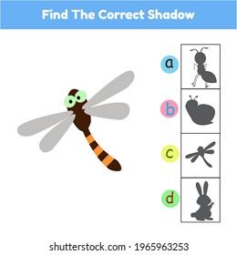 Find The Correct Shadow Game Dragonfly Cartoon Illustration Vector