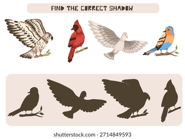 Encuentra el juego de sombra correcto con aves silvestres del bosque