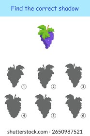 Find the correct shadow of grapes. Maze game. Vector illustration on a white background for children's entertainment, activity book, worksheet.