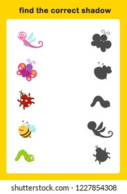 find the correct shadow illustration vector