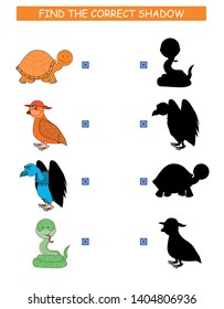 Find the correct shadow. Kids educational game. Cartoon animal: snake, turtle, bird, kite. 