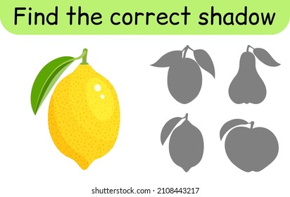 Find the correct shadow. Kids game. Educational matching game for children. Fruit theme. Vector illustration