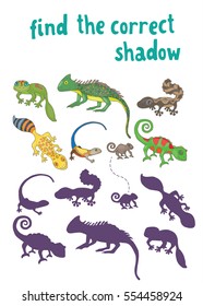 Find the correct shadow - kids learning game with cartoon lizards