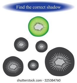 Find the correct shadow ( kiwi ). Vector illustration.