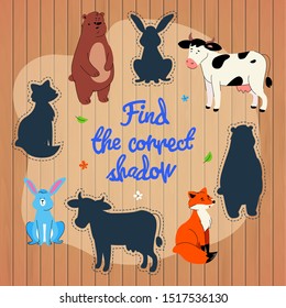 Find correct shadow learning game vector template