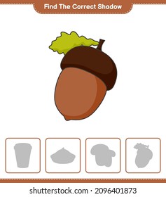 Find the correct shadow. Find and match the correct shadow of Acorn. Educational children game, printable worksheet, vector illustration