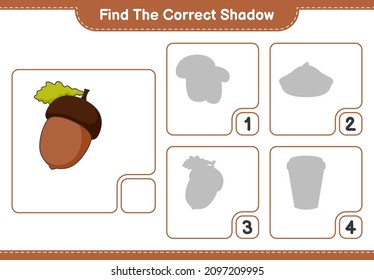 Find the correct shadow. Find and match the correct shadow of Acorn. Educational children game, printable worksheet, vector illustration