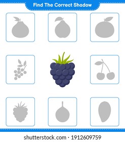 Find the correct shadow. Find and match the correct shadow of Blackberries. Educational children game, printable worksheet, vector illustration