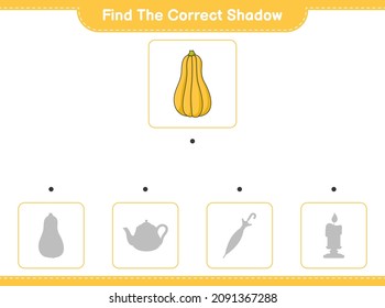 Find the correct shadow. Find and match the correct shadow of Butternut Squash. Educational children game, printable worksheet, vector illustration