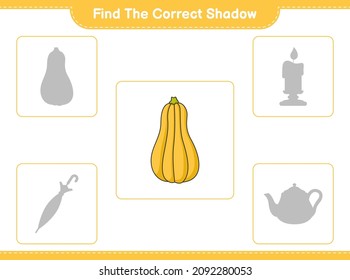 Find the correct shadow. Find and match the correct shadow of Butternut Squash. Educational children game, printable worksheet, vector illustration