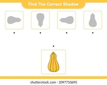 Find the correct shadow. Find and match the correct shadow of Butternut Squash. Educational children game, printable worksheet, vector illustration