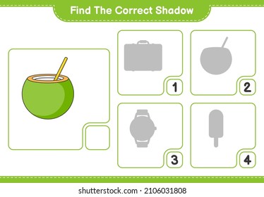 Find the correct shadow. Find and match the correct shadow of Coconut. Educational children game, printable worksheet, vector illustration
