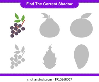Find the correct shadow. Find and match the correct shadow of Elderberry. Educational children game, printable worksheet, vector illustration