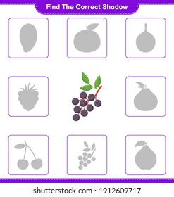 Find the correct shadow. Find and match the correct shadow of Elderberry. Educational children game, printable worksheet, vector illustration