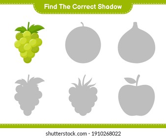 Find the correct shadow. Find and match the correct shadow of Grape. Educational children game, printable worksheet, vector illustration