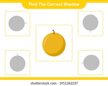 Find the correct shadow. Find and match the correct shadow of Honey Melon. Educational children game, printable worksheet, vector illustration