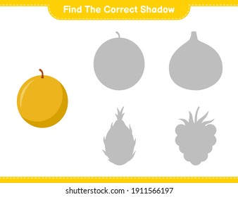 Encuentra la sombra correcta. Encuentra y coincide con la sombra correcta de Honey Melon. Juego infantil educativo, hoja de cálculo imprimible, ilustración vectorial