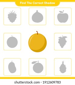 Find the correct shadow. Find and match the correct shadow of Honey Melon. Educational children game, printable worksheet, vector illustration