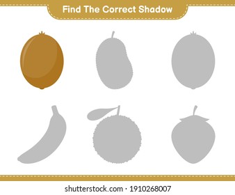 Find the correct shadow. Find and match the correct shadow of Kiwi. Educational children game, printable worksheet, vector illustration
