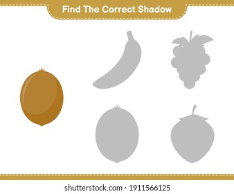 Find the correct shadow. Find and match the correct shadow of Kiwi. Educational children game, printable worksheet, vector illustration