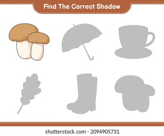 Find the correct shadow. Find and match the correct shadow of Mushroom Boletus. Educational children game, printable worksheet, vector illustration