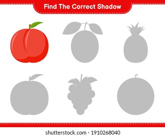Find the correct shadow. Find and match the correct shadow of Nectarine. Educational children game, printable worksheet, vector illustration