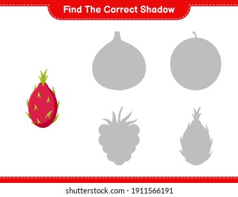 Find the correct shadow. Find and match the correct shadow of Pitaya. Educational children game, printable worksheet, vector illustration