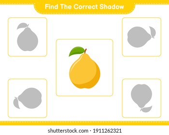 Find the correct shadow. Find and match the correct shadow of Quince. Educational children game, printable worksheet, vector illustration