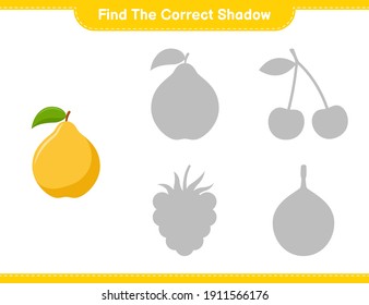 Find the correct shadow. Find and match the correct shadow of Quince. Educational children game, printable worksheet, vector illustration