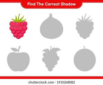 Find the correct shadow. Find and match the correct shadow of Raspberries. Educational children game, printable worksheet, vector illustration
