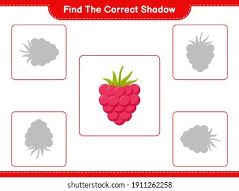 Find the correct shadow. Find and match the correct shadow of Raspberries. Educational children game, printable worksheet, vector illustration