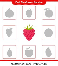 Find the correct shadow. Find and match the correct shadow of Raspberries. Educational children game, printable worksheet, vector illustration