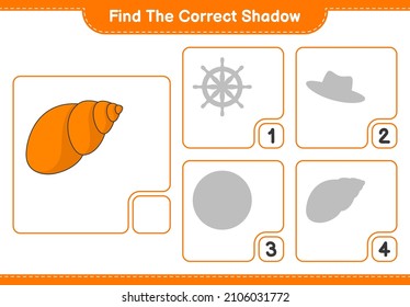Find the correct shadow. Find and match the correct shadow of Sea Shells. Educational children game, printable worksheet, vector illustration