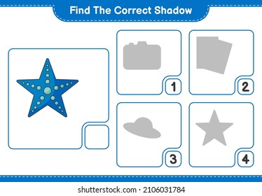 Find the correct shadow. Find and match the correct shadow of Starfish. Educational children game, printable worksheet, vector illustration