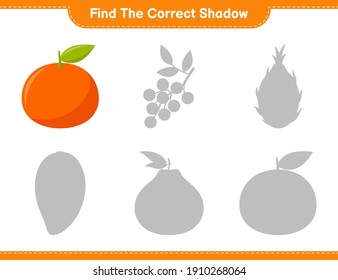 Find the correct shadow. Find and match the correct shadow of Tangerin. Educational children game, printable worksheet, vector illustration