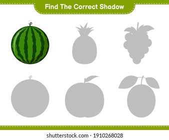 Find the correct shadow. Find and match the correct shadow of Watermelon. Educational children game, printable worksheet, vector illustration